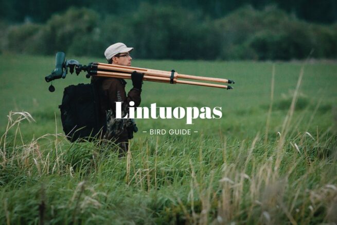 Lintuopas