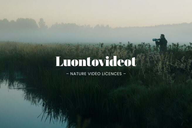 Luontovideot