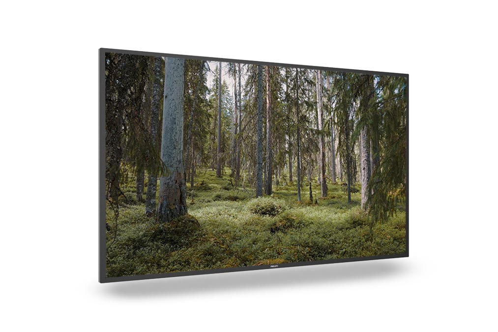 Tilatunnelma Philips 55