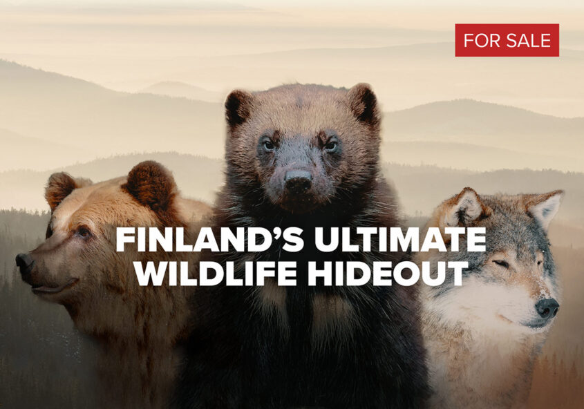 Erä-Eero yritysvideo