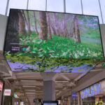 Räätälöity Tilatunnelma-video kauppakeskuksessa